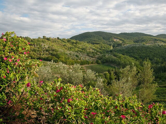Montefioralle paysage