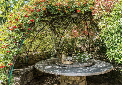 Dîner en plein air à Camporempoli
