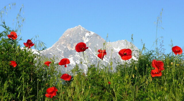 Apennines