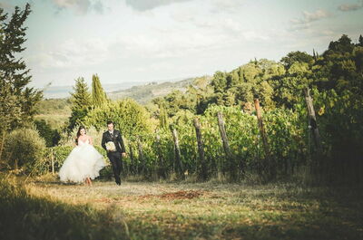 Fattoria di Quercia al Poggio, vignoble