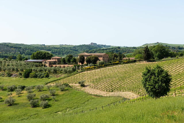Environs de Podere D'Asso