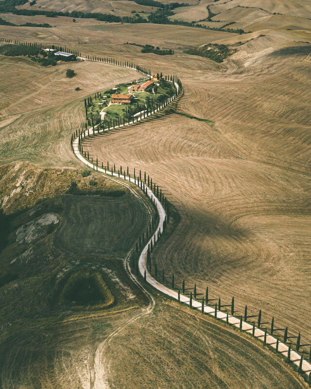 route des cyprès en Toscane