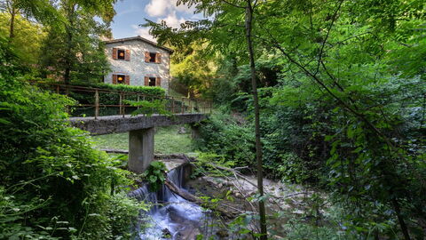 La Ripresa, rivière