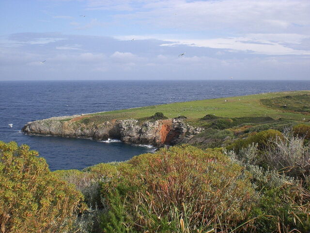Île de Giannutri