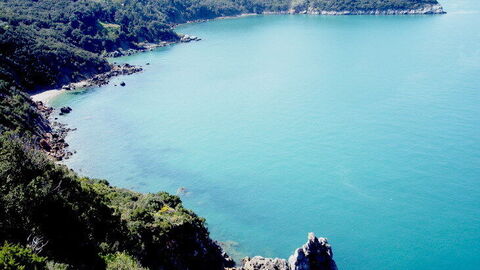 Le littoral de Monte Aregentario