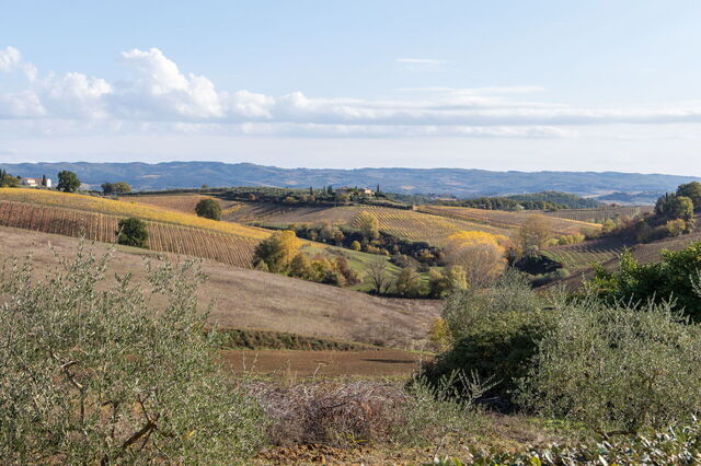 Villa L'elsa, magnifique maison de campagne, vue