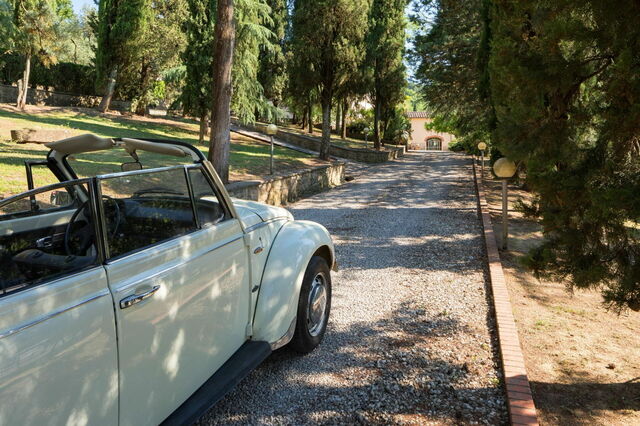Villa Carniani, allée