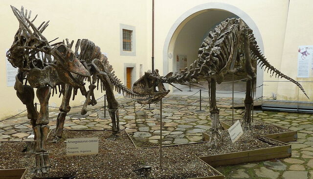 Muséum d'histoire naturelle, dinosaures