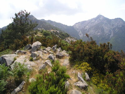 Vue sur les montagnes de la Toscane