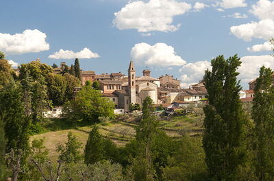 Vue sur la ville de Castelnuovo Berardenga
