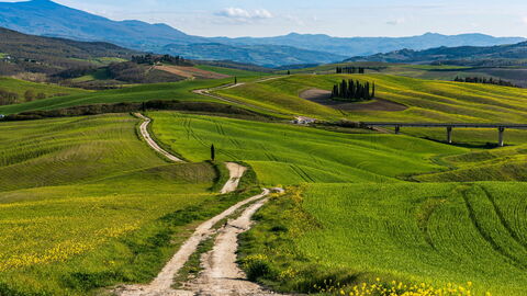 Une route en Toscane