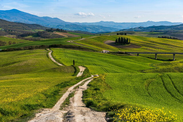 Une route en Toscane