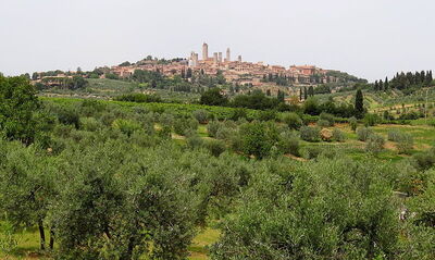 Vue sur San Gimignano