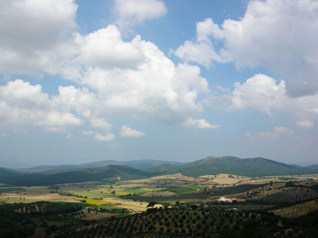 paysage Capalbio