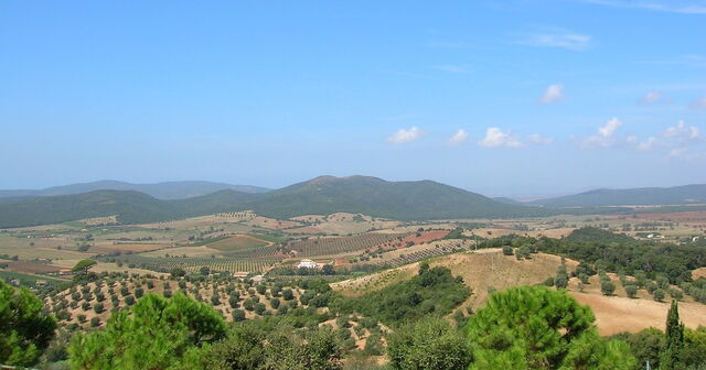Vue depuis Capalbio