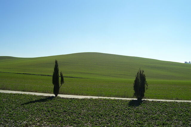Vue d'une route de campagne à Val di Orcia