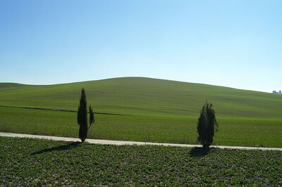 Vue d'une route de campagne à Val di Orcia