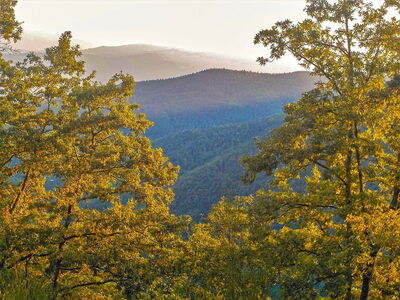 forêts du Casentino
