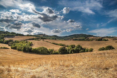 Campagne toscane