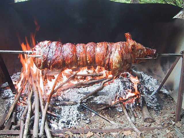 Porchetta sur le feu