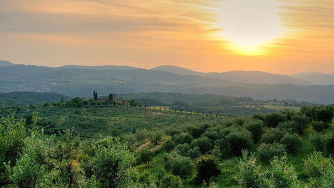 Vue de le campagne florentine