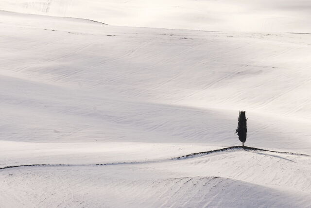 Campagne toscane