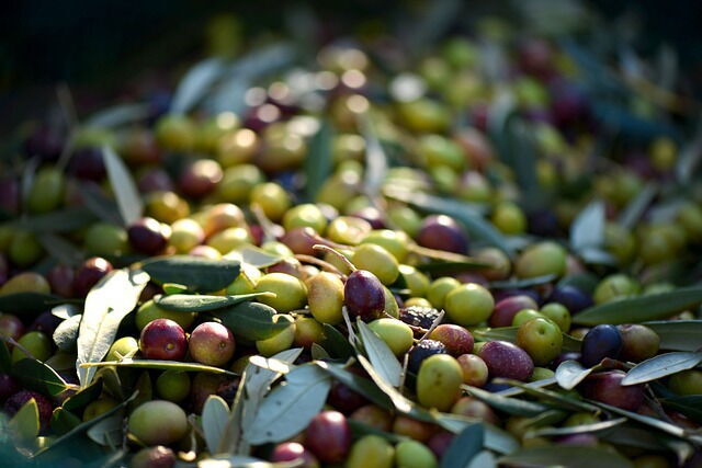 Olives fraîches