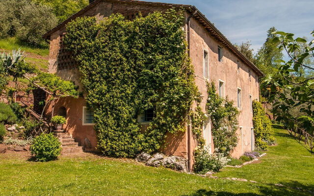 Damiano
