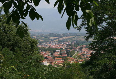 Vue de Montevarchi