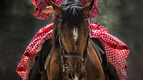 cheval