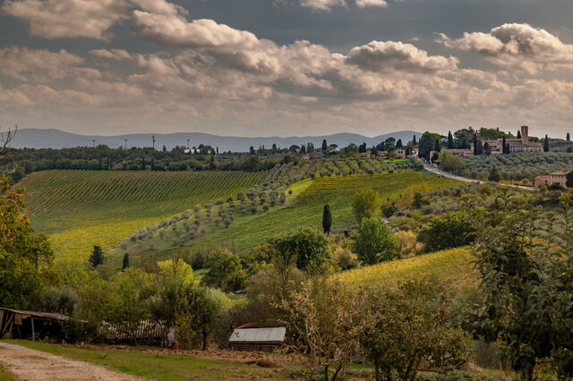 chianti