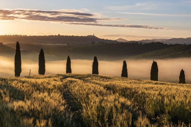 paysage brumeux de Toscane