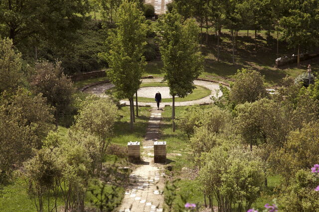 Bosco della Ragnaia
