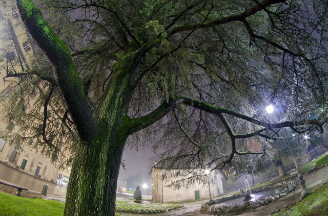 Lucca de nuit