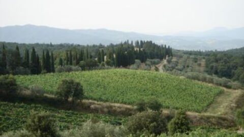 Vue de Val di Chiana