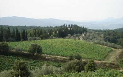 Vue de Val di Chiana
