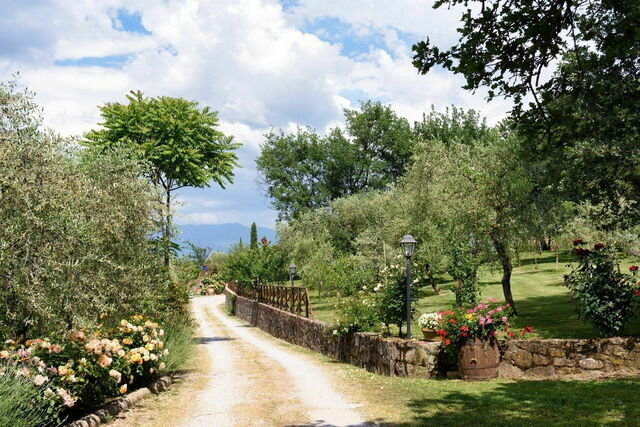 Alessandra Alla Poggetta, lane