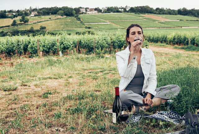 Pique-nique dans un vignoble