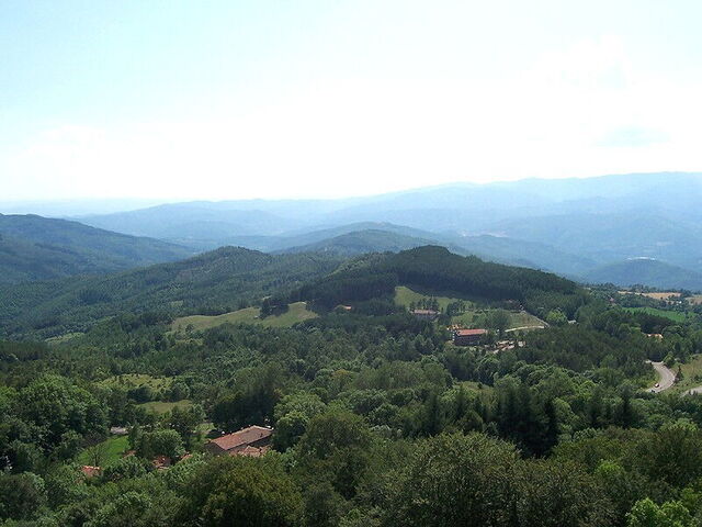panorama