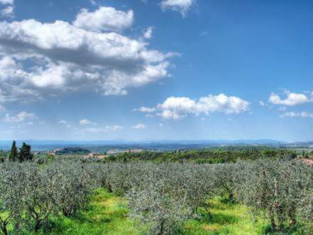 Vue de la campagne pres de Castelnuovo Berardenga
