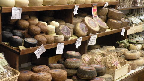 Différentes variétés de Pecorino