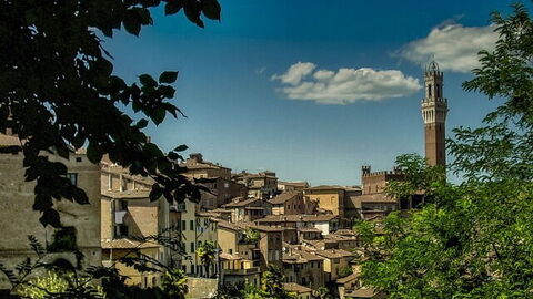 Vue sur la ville de Pise