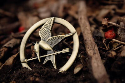 Badge du geai moqueur d'Hunger Games