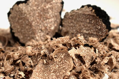 Les truffes