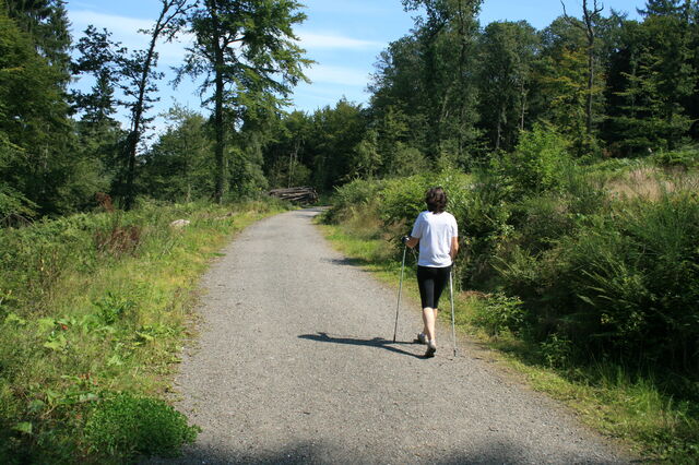 Un sentier de marche nordique