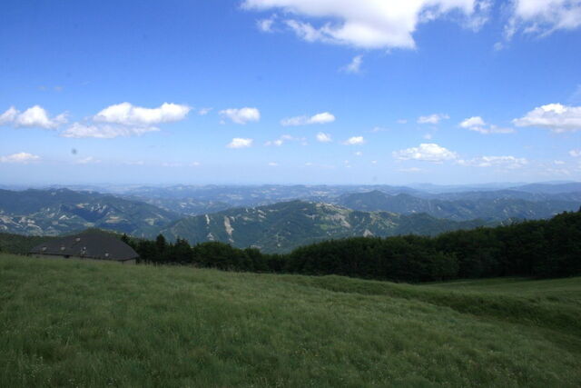des arbres dans le parc national du Casentinesi
