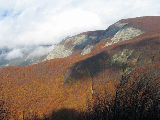 les montagnes du parc national du Casentinesi
