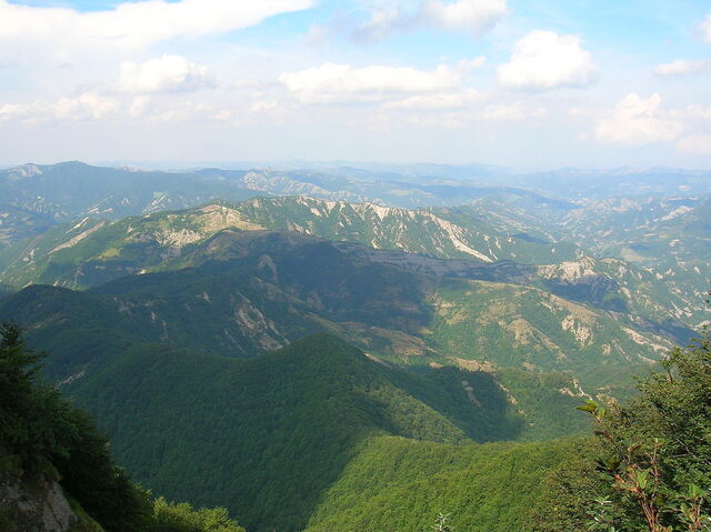 Vue du parc national du Casentinesi