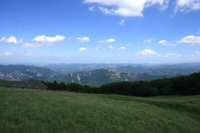 des arbres dans le parc national du Casentinesi