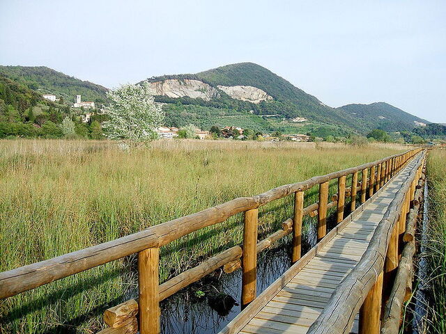Une paisible promenade à travers le marais Massaciuccoli